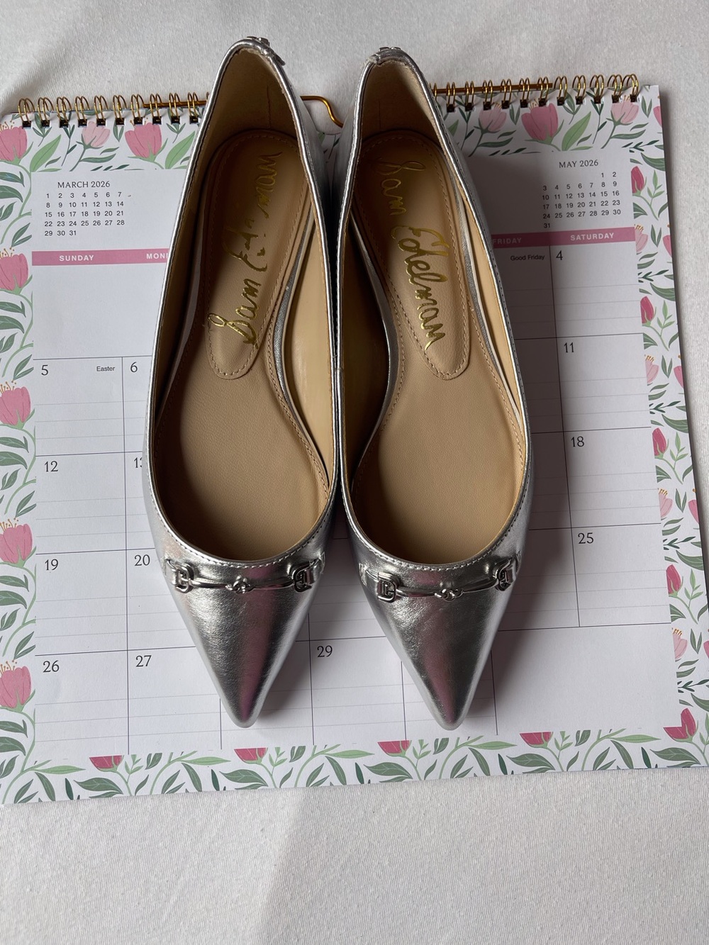 Sam Edelman Metallic Silver Pointed Toe Flats with Horsebit